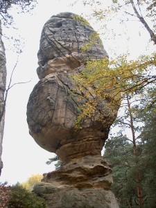 2001.10.27 12.49.42.jpg